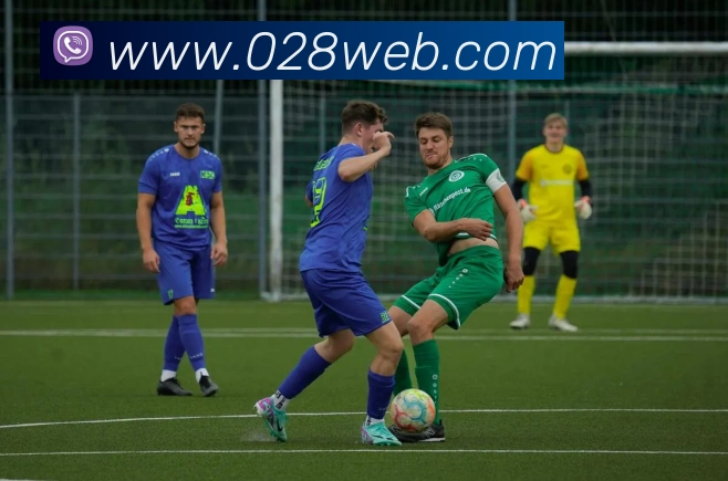 完美体育唯一官网APP 封面图