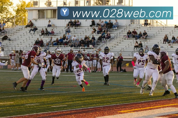 数据防护可视化